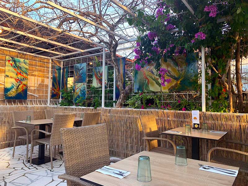 Fish bar El Pulpo Terrace